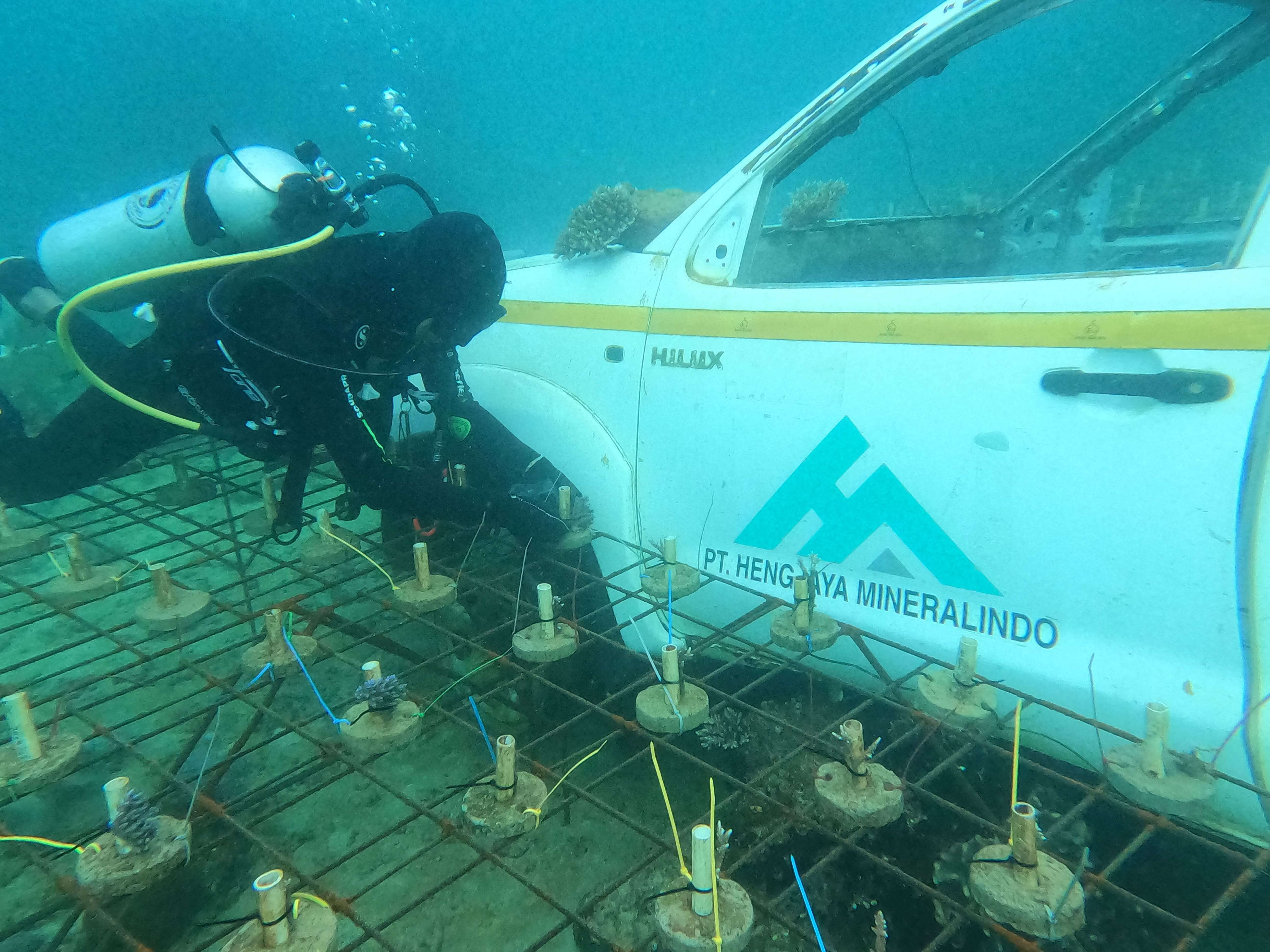 coral-reef-cultivation